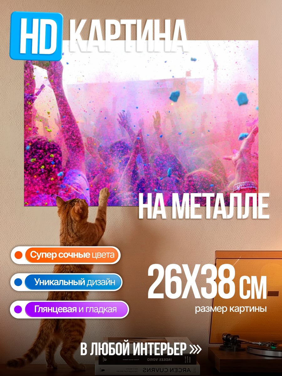 Картина на металле Фестиваль красок Холи