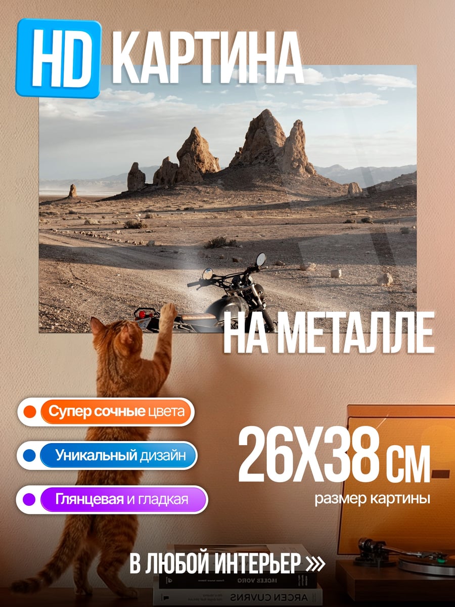 Картина на металле Мотоцикл в пустыне