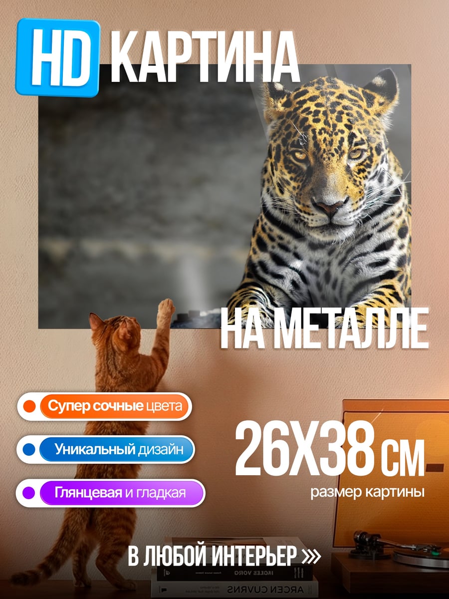 Картина на металле Лежащий ягуар