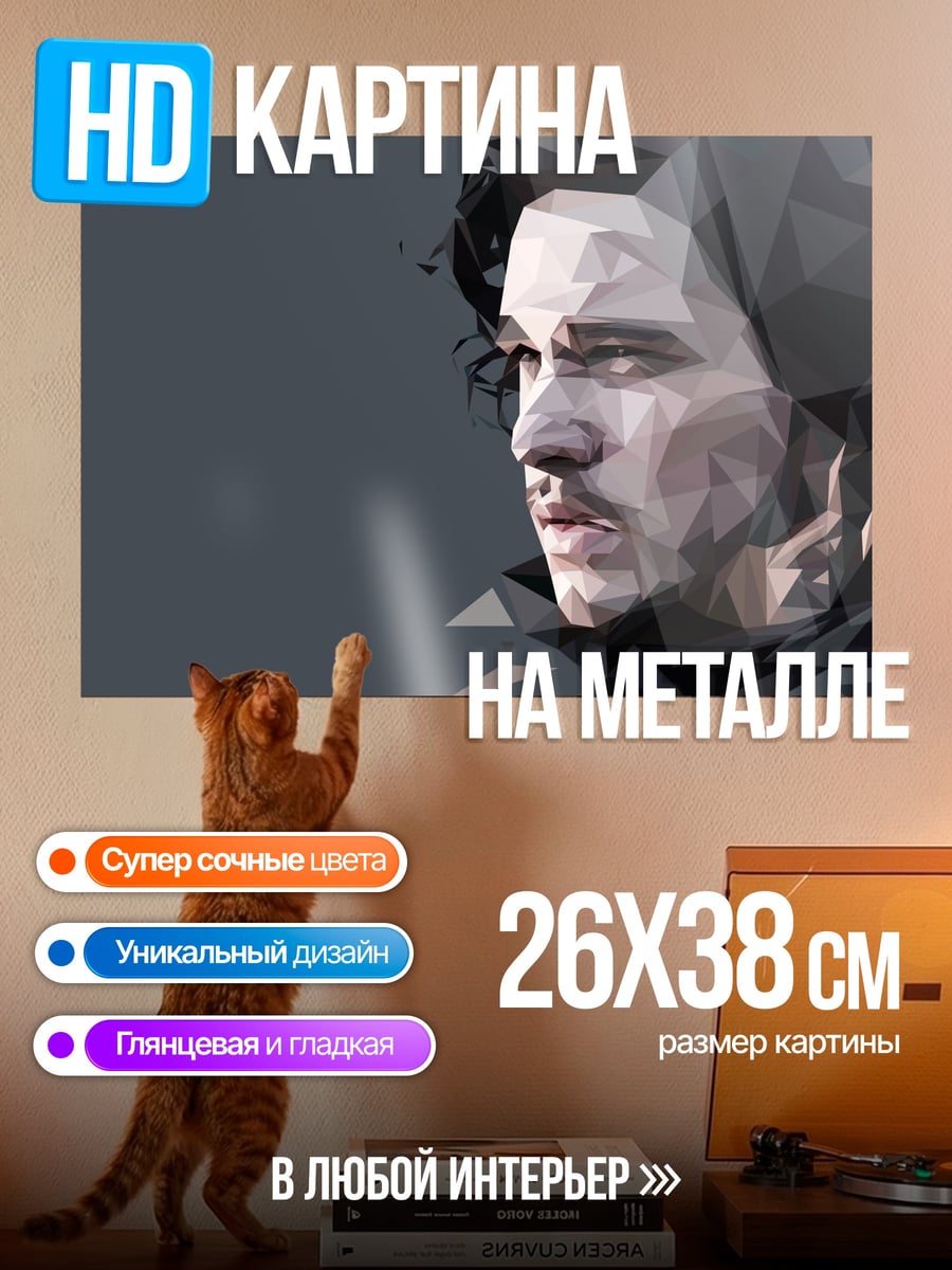 Картина на металле Полигональный портрет