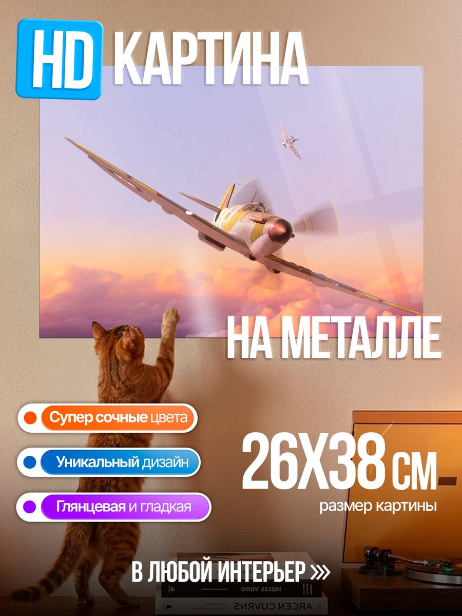 Картина на металле Самолет в небе