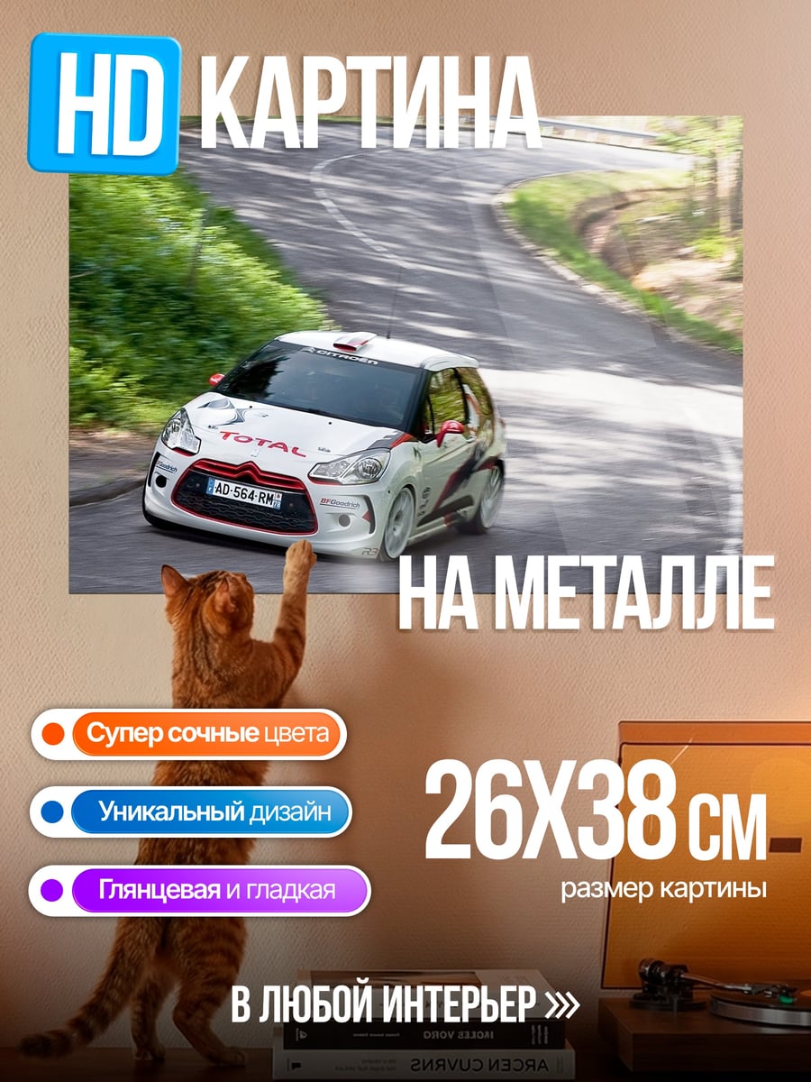 Картина на металле Раллийный автомобиль Citroen