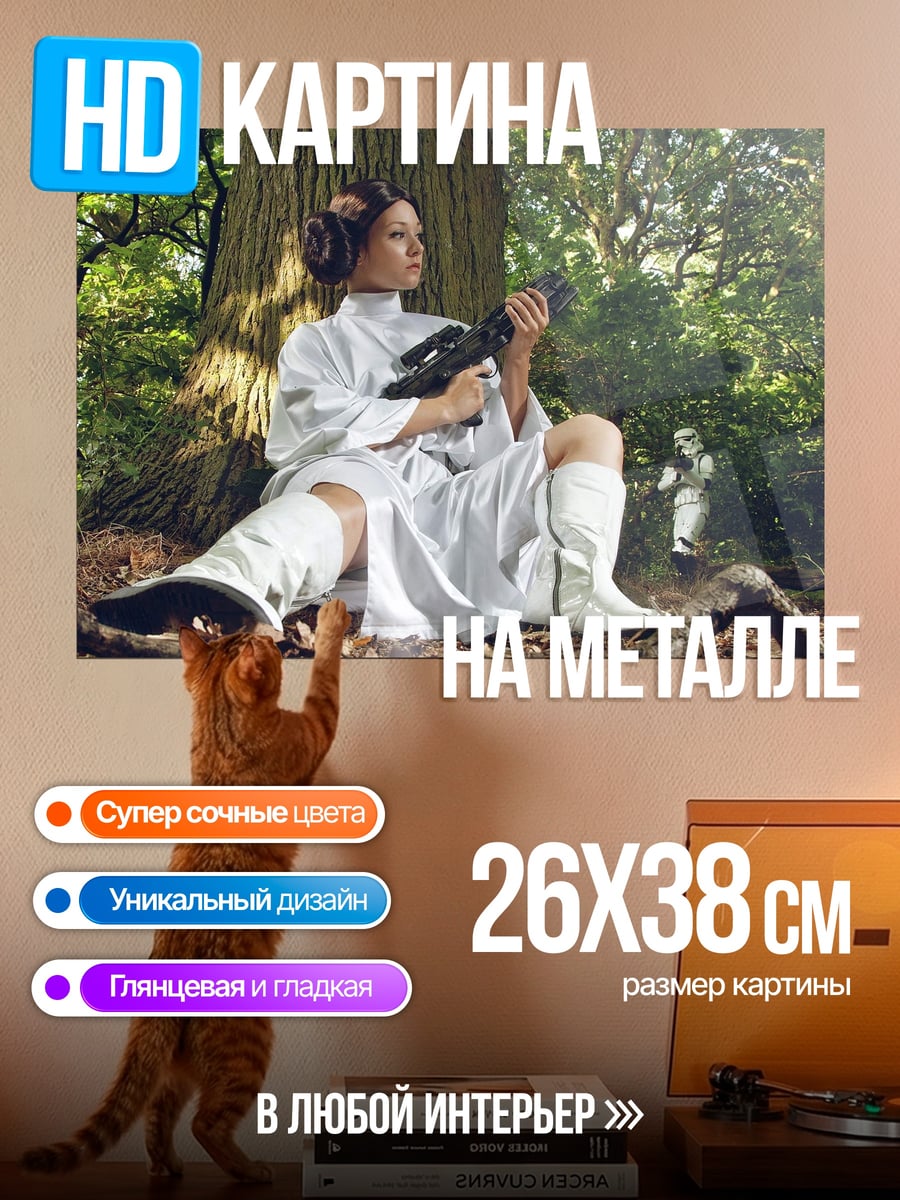 Картина на металле Принцесса Лея бластер