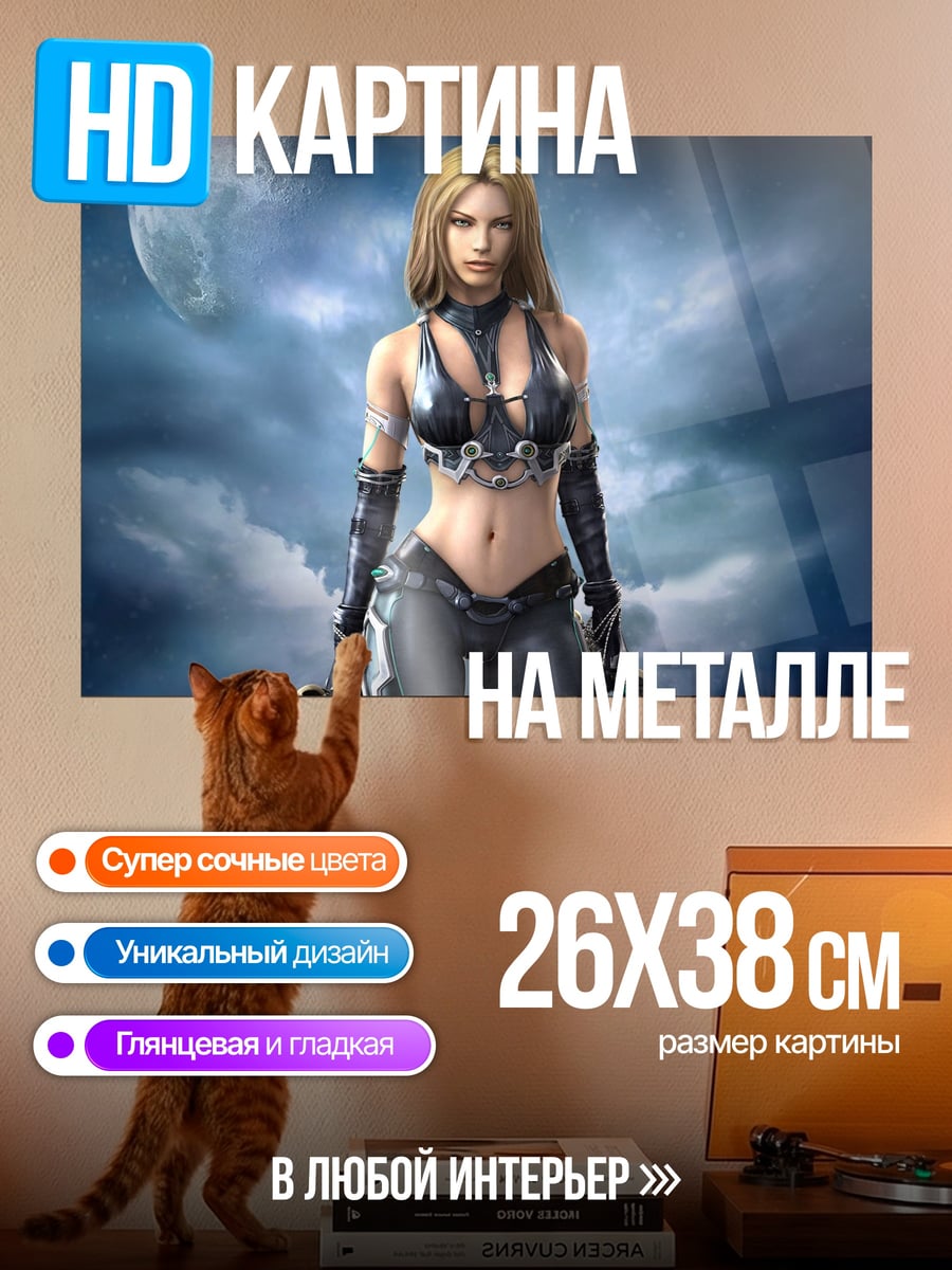 Картина на металле Девушка с мечами
