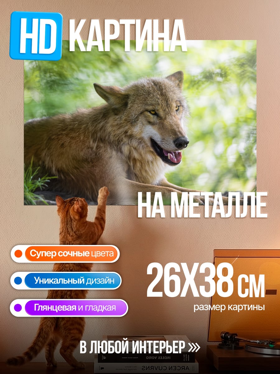 Картина на металле Лежащий волк