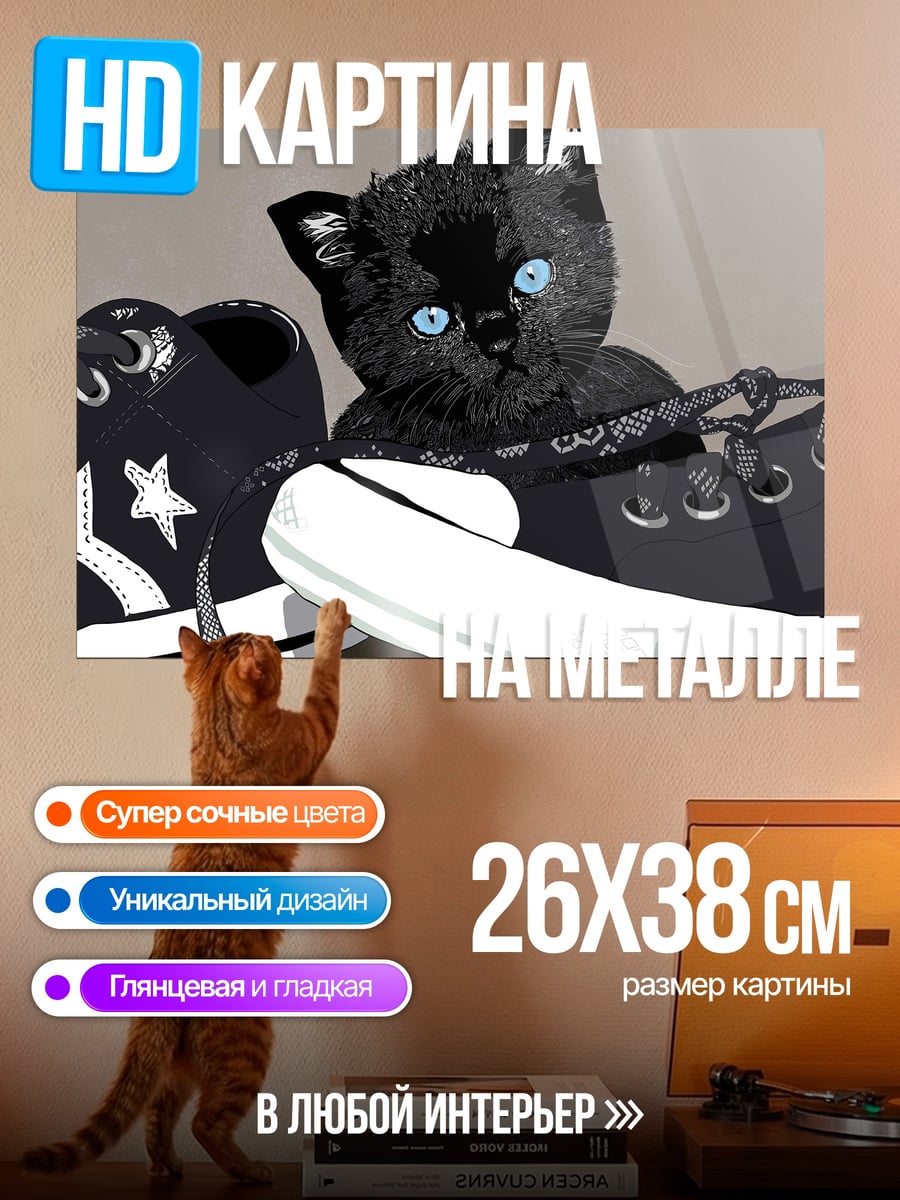 Картина на металле Котёнок в кедах
