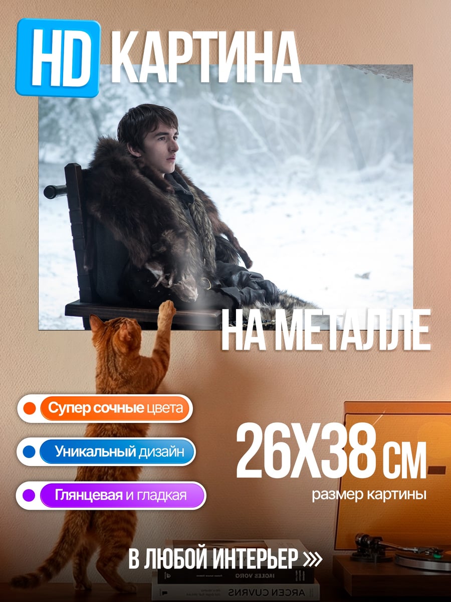 Картина на металле Бран Старк