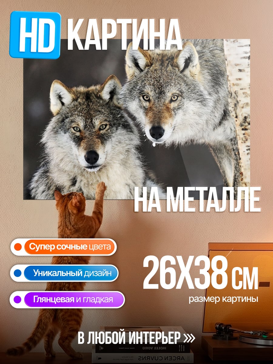 Картина на металле два волка зима