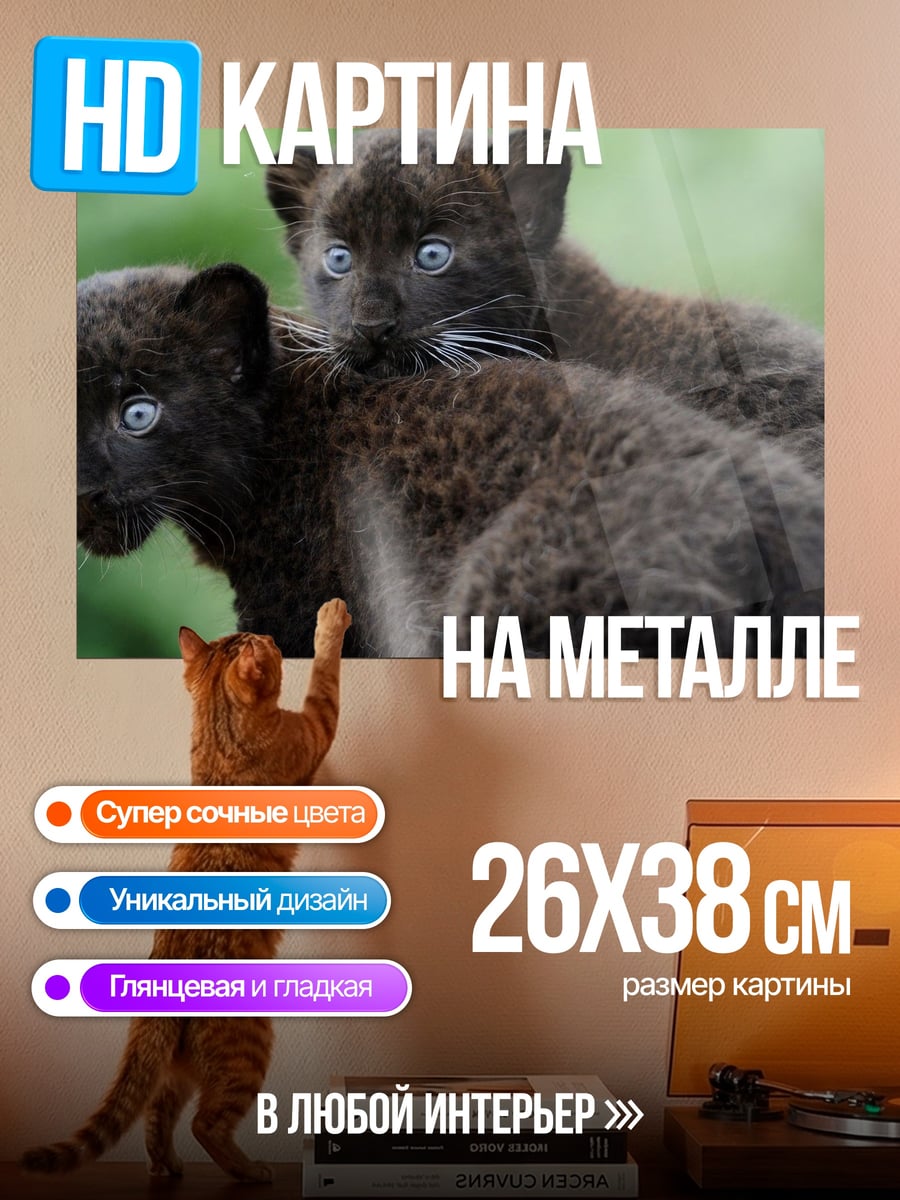 Картина на металле два черных пантеры