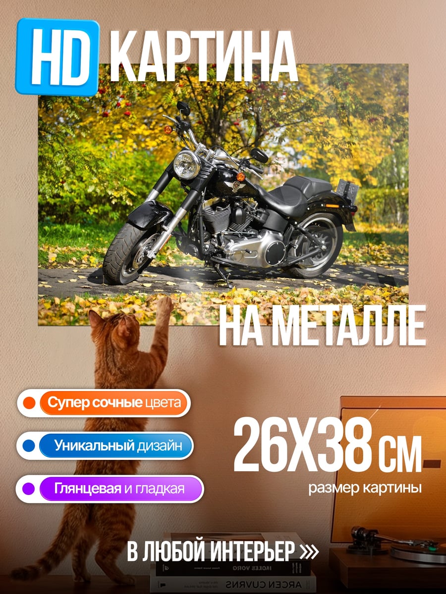 Картина на металле Мотоцикл осенью