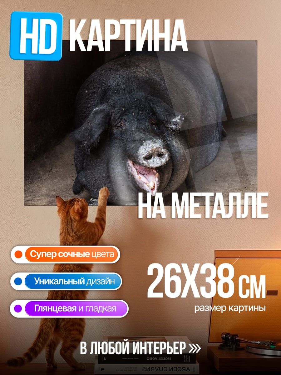Картина на металле Смешная свинья
