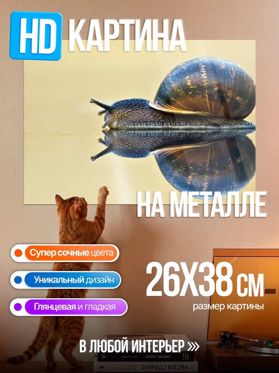 Картина на металле улитка в отражении