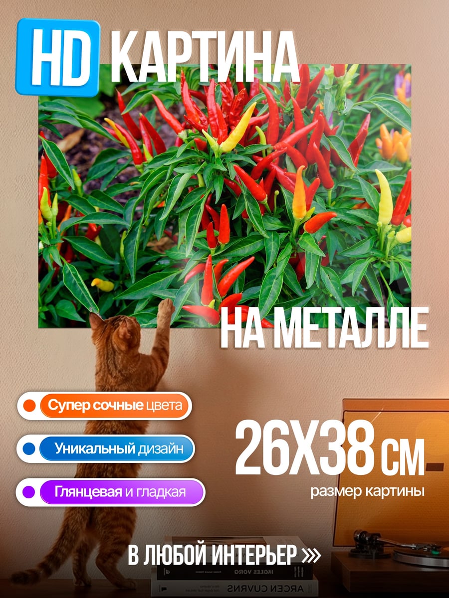 Картина на металле острый перец