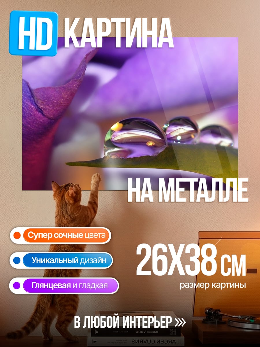 Картина на металле Капли на лепестке