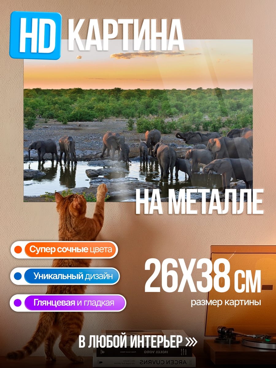 Картина на металле Слоны на водопое