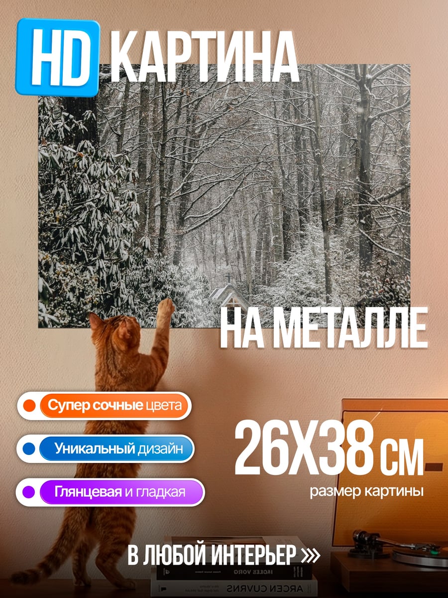 Картина на металле Зимняя аллея в снегу