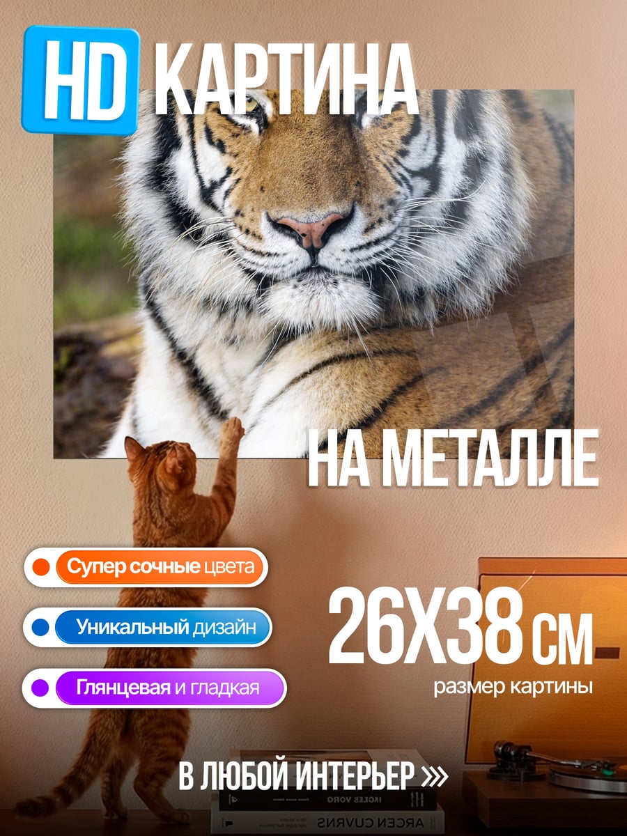 Картина на металле портрет тигра