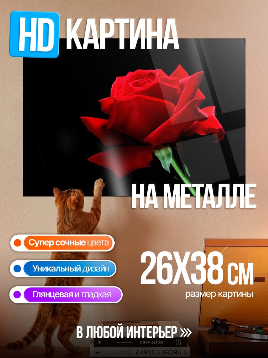 Картина на металле красная роза