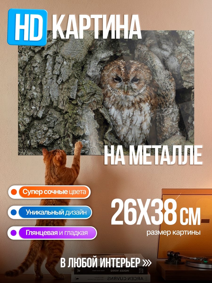Картина на металле сова в дупле