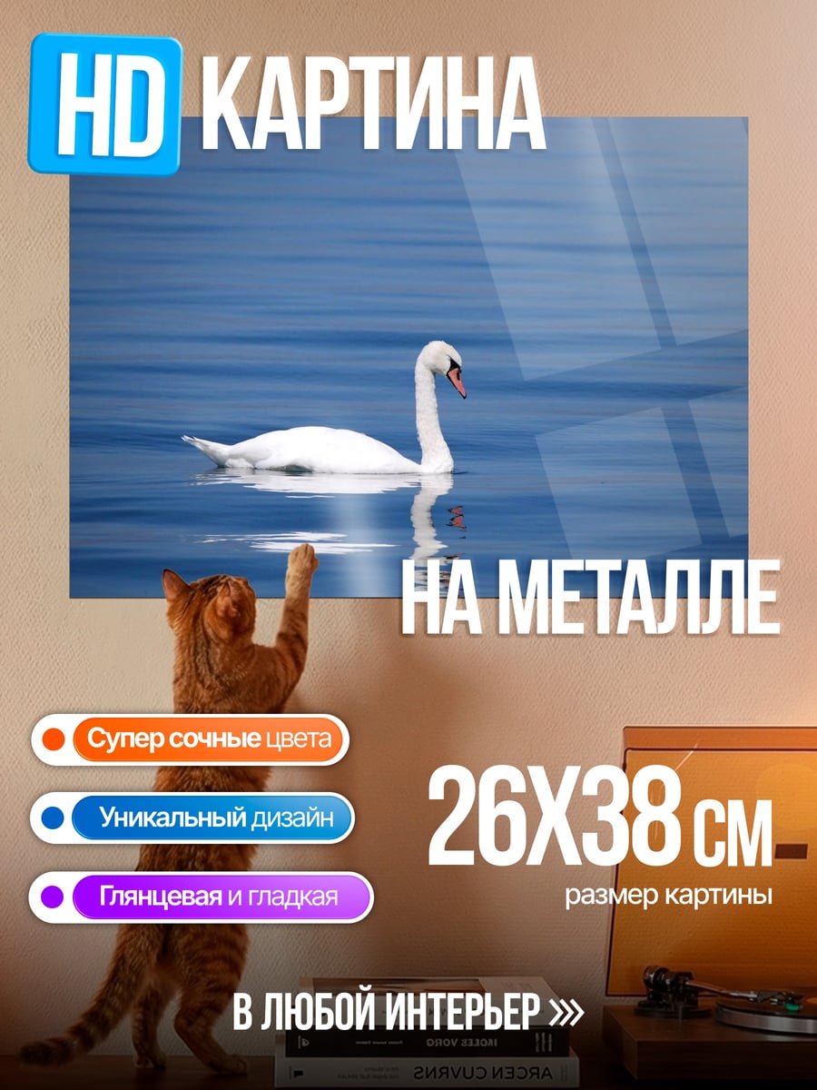 Картина на металле Лебедь на воде