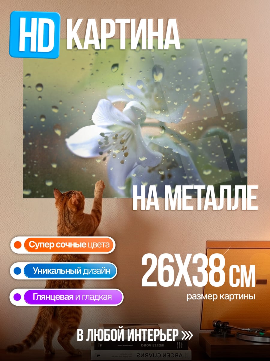Картина на металле Цветок под дождем