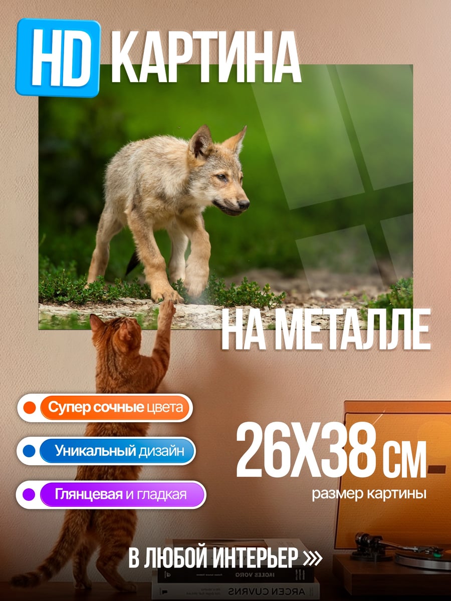 Картина на металле Волчонок в траве