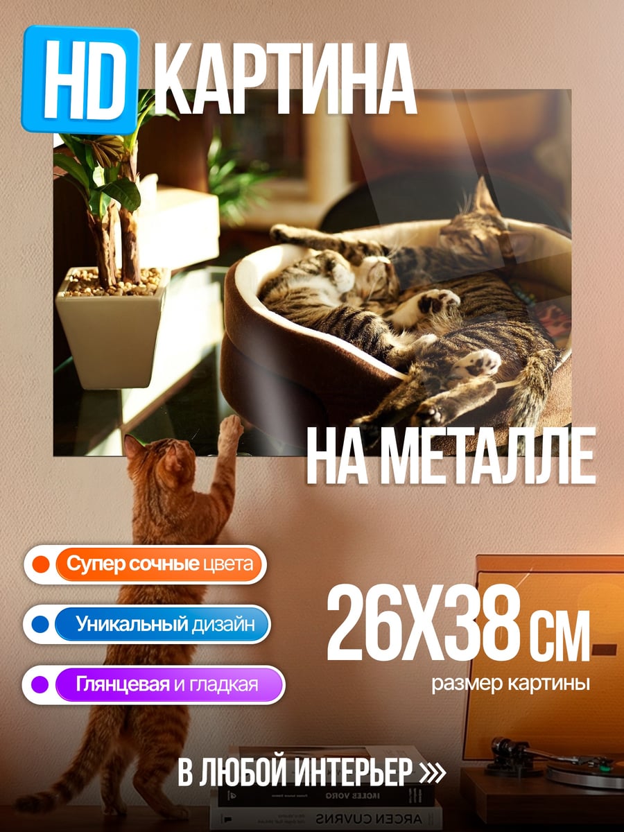 Картина на металле Два спящих котенка