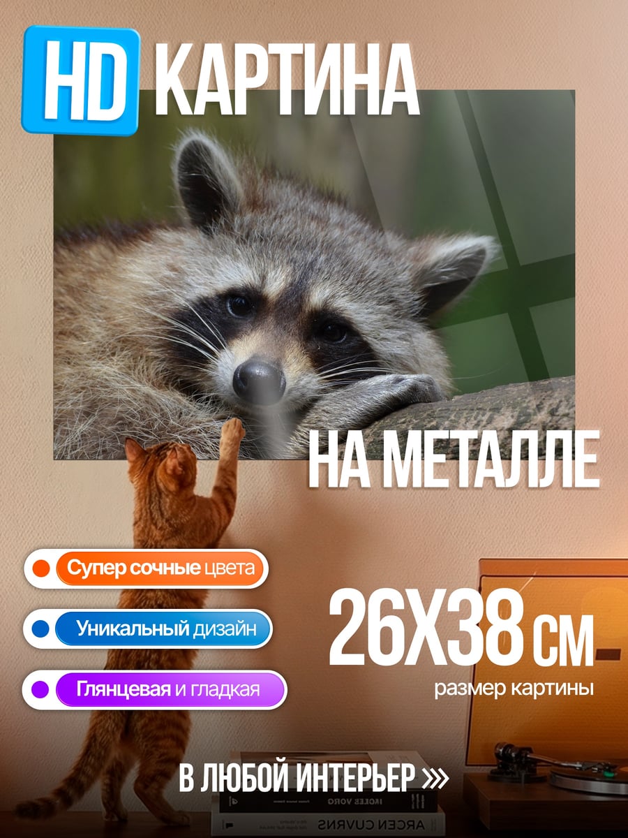 Картина на металле Енот на ветке