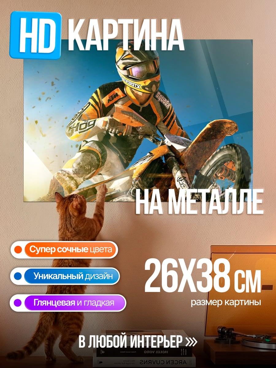 Картина на металле Мотогонщик