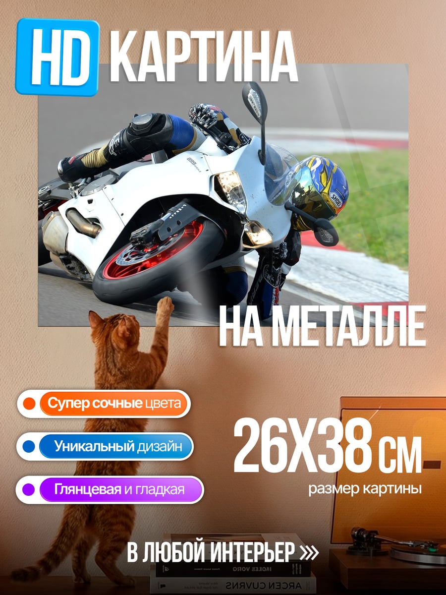 Картина на металле Мотоциклист на треке