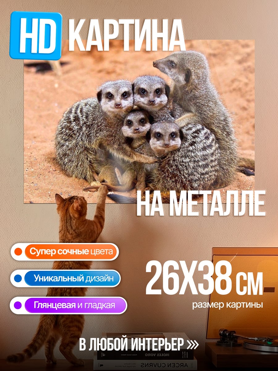 Картина на металле Семейство сурикатов