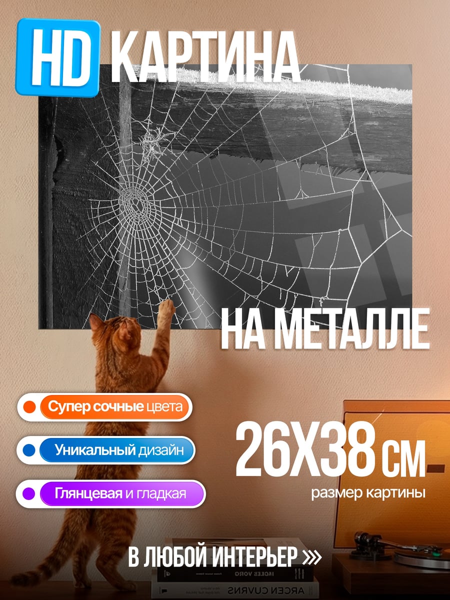 Картина на металле паутина на дереве