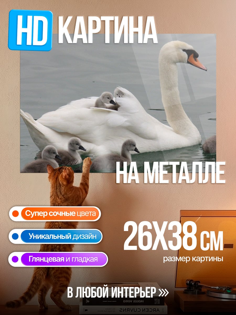 Картина на металле Лебедь с лебедятами