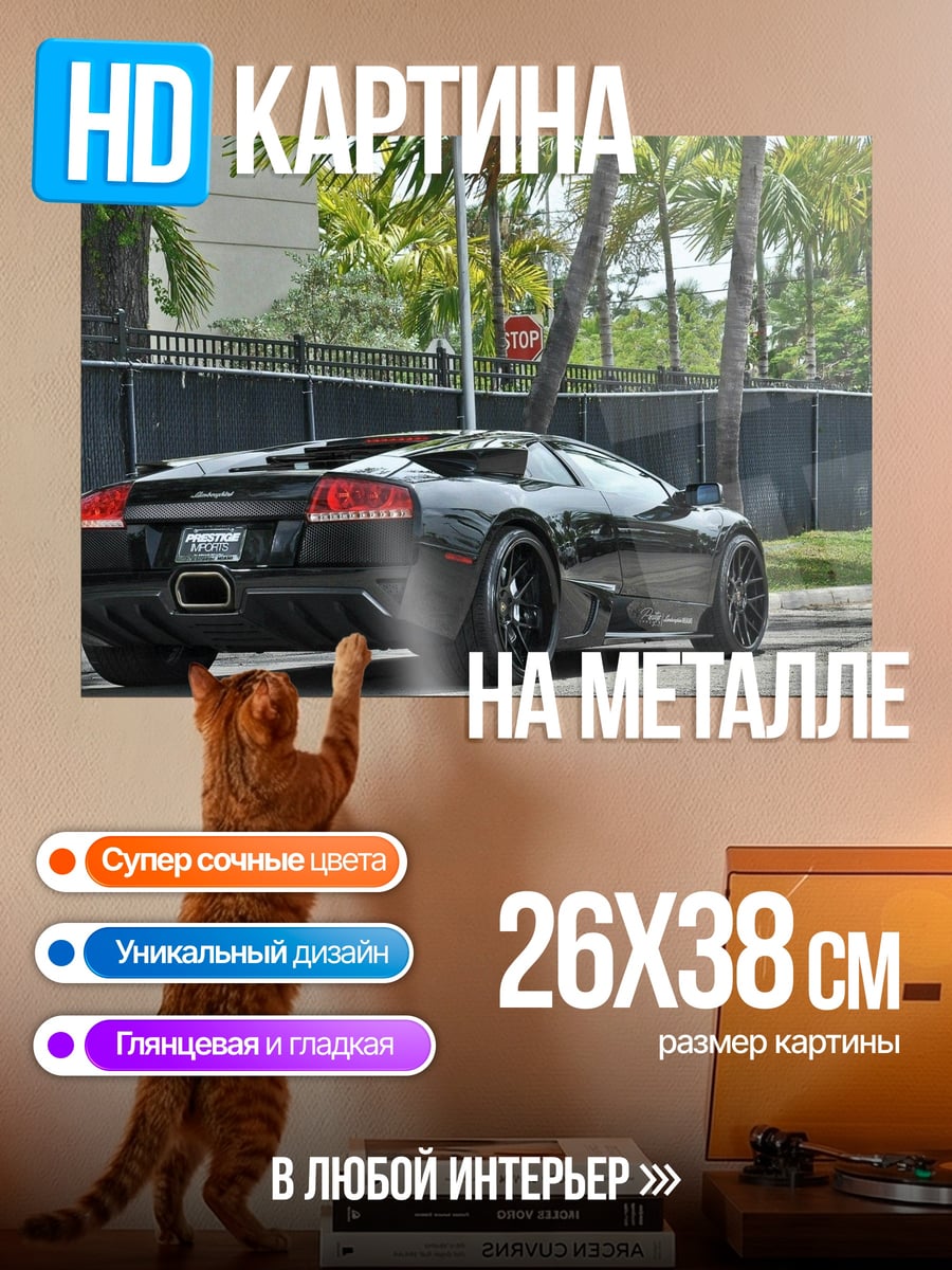 Картина на металле Черный Lamborghini