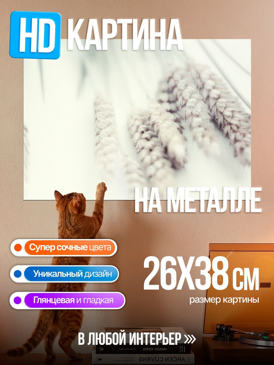 Картина на металле сухие колосья