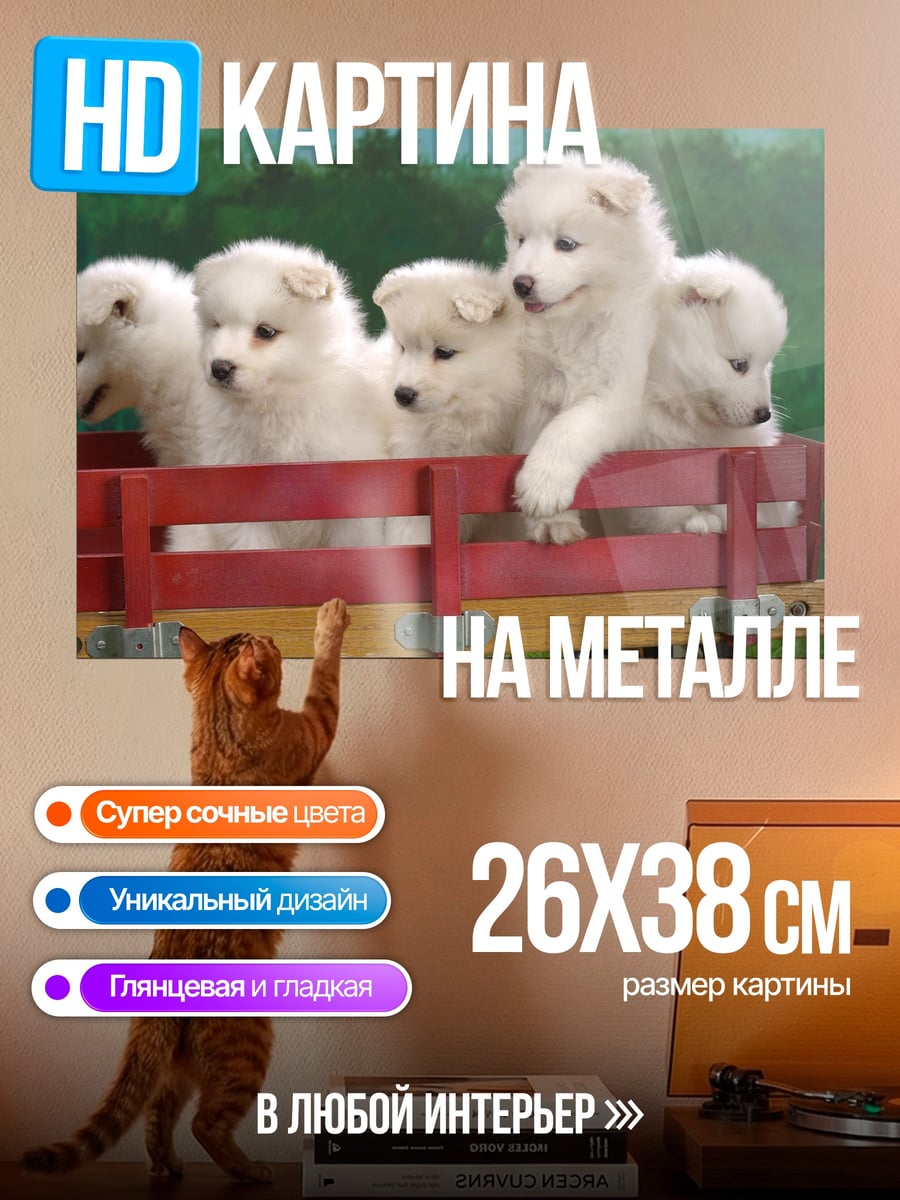 Картина на металле Щенки в тележке