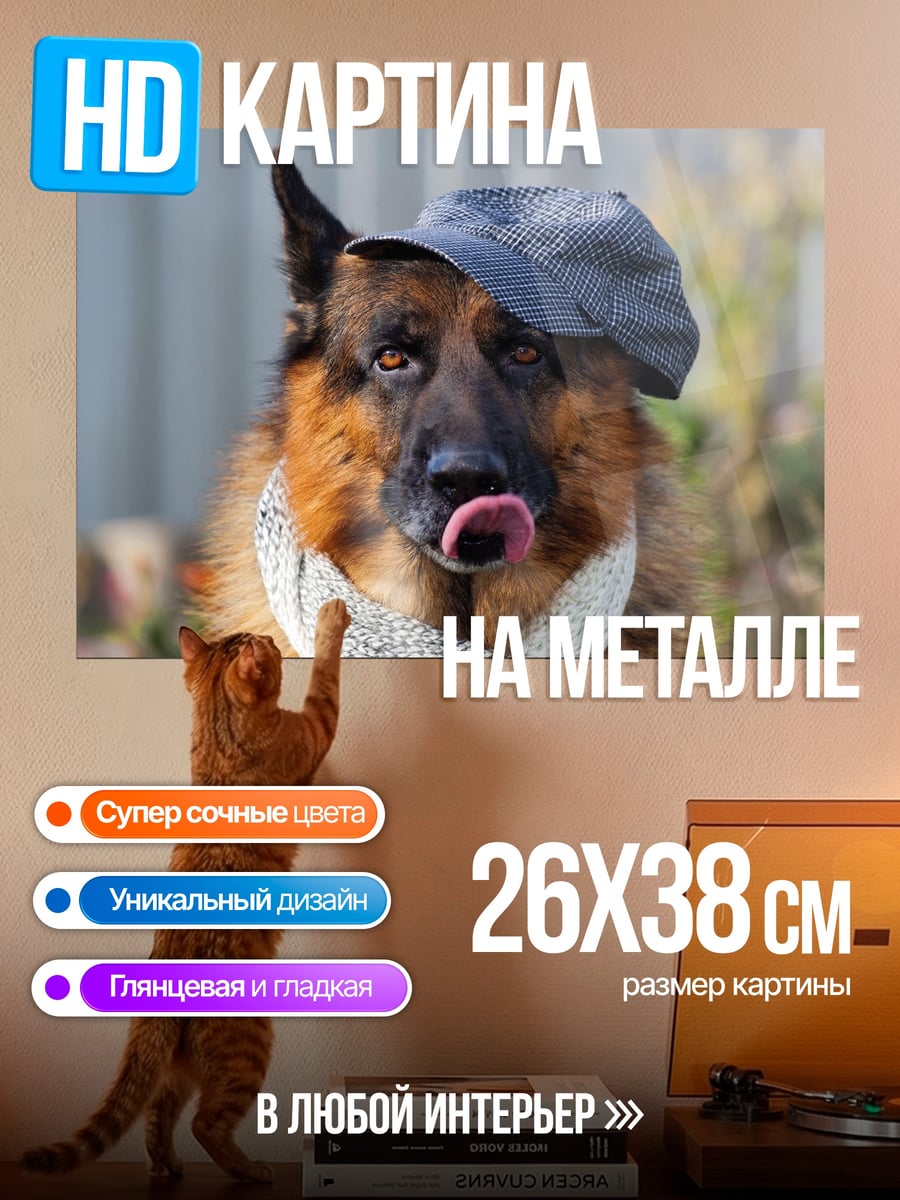 Картина на металле Немецкая овчарка в кепке