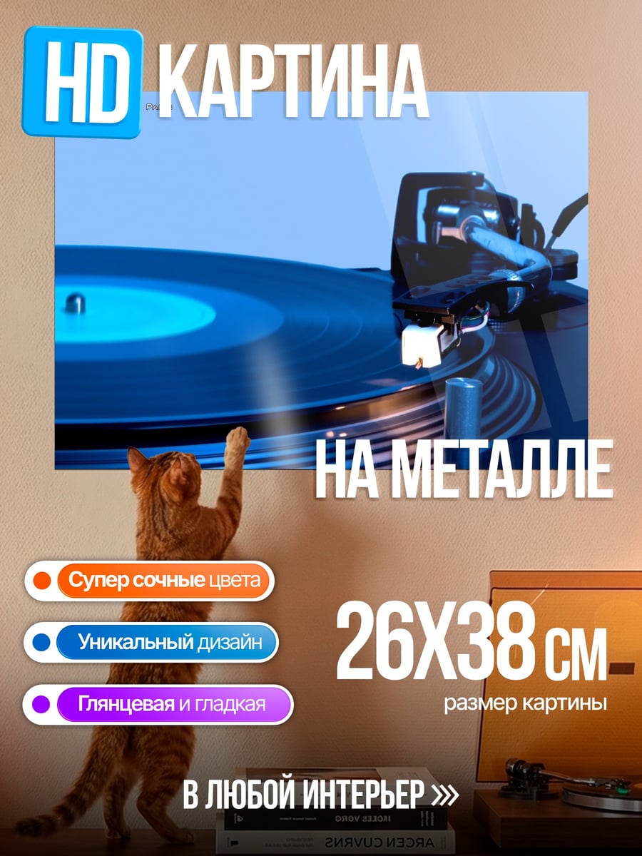 Картина на металле Виниловая пластинка