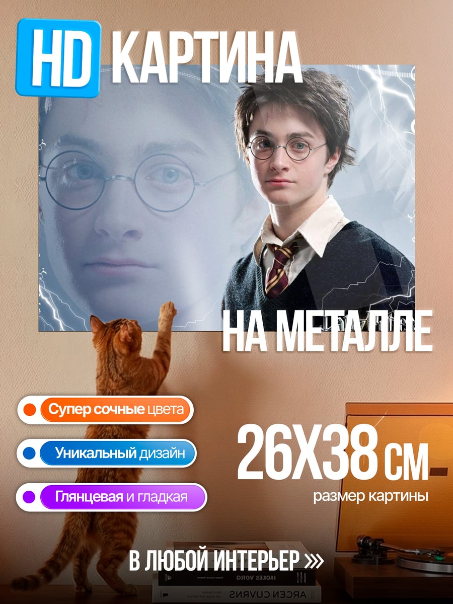 Картина на металле Гарри Поттер