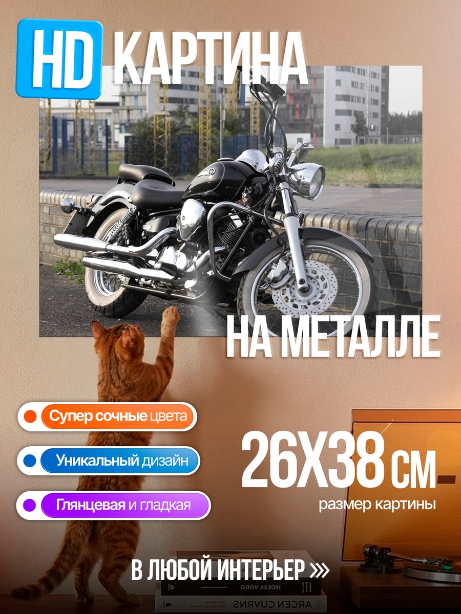 Картина на металле Чёрный байк