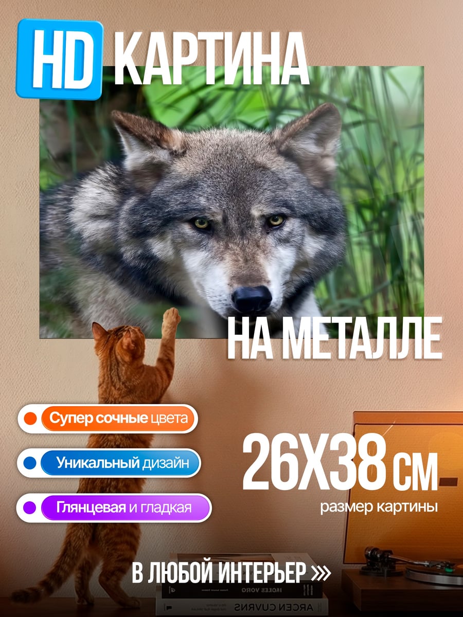 Картина на металле серый волк в лесу