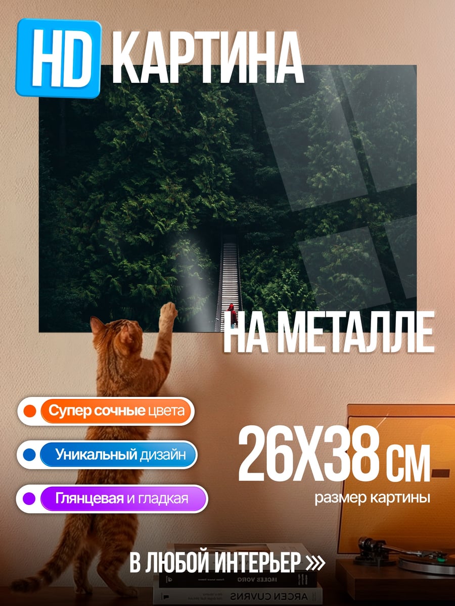Картина на металле Человек на мосту