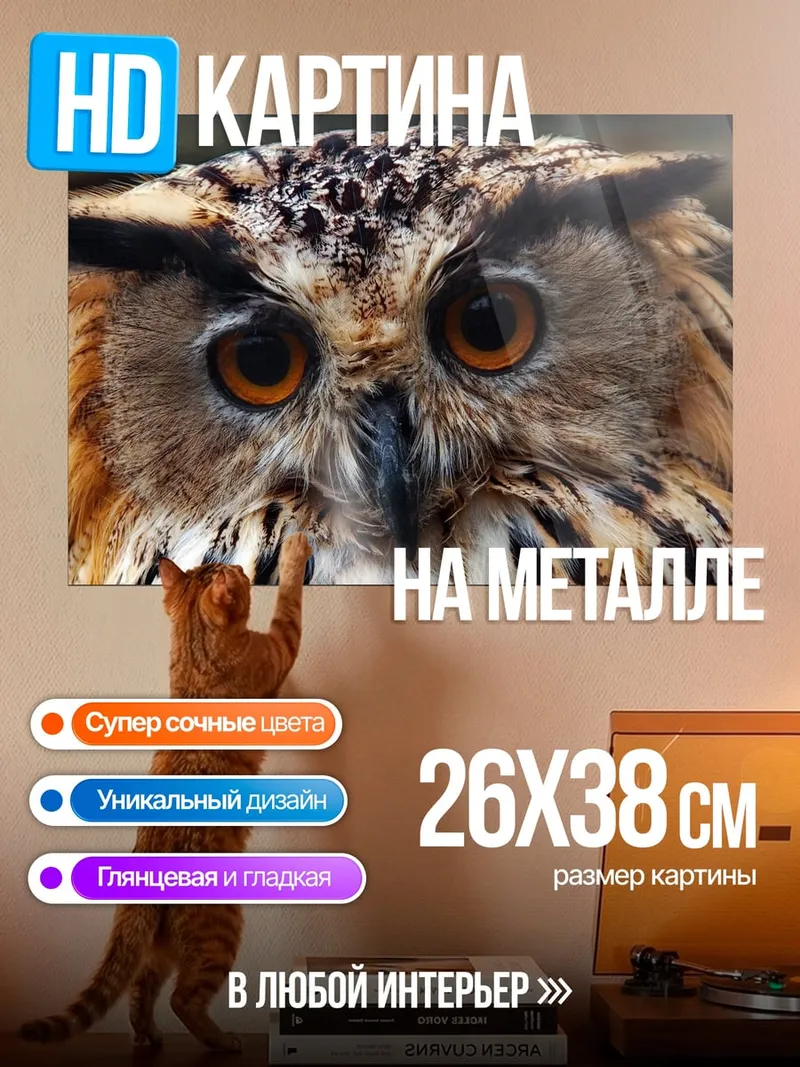 Картина на металле Крупный план совы