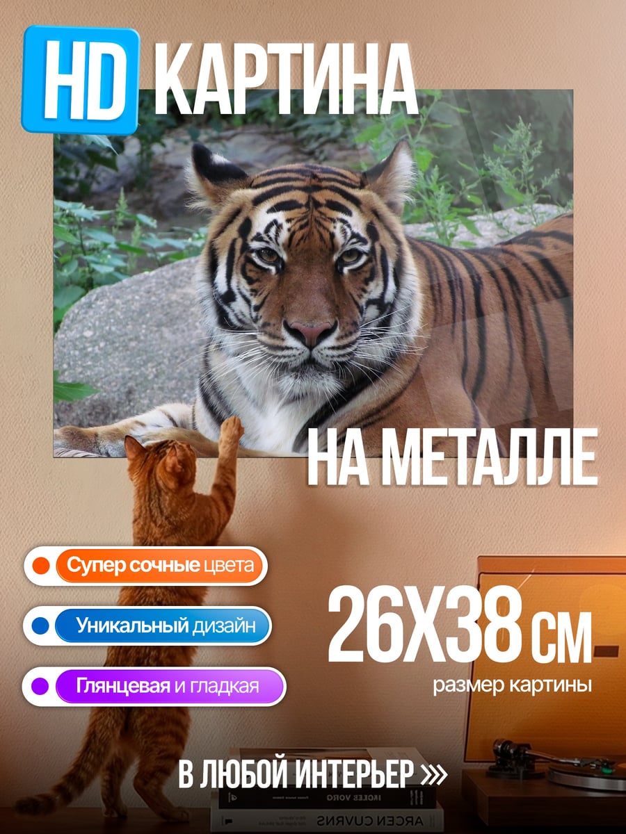 Картина на металле Тигр в джунглях