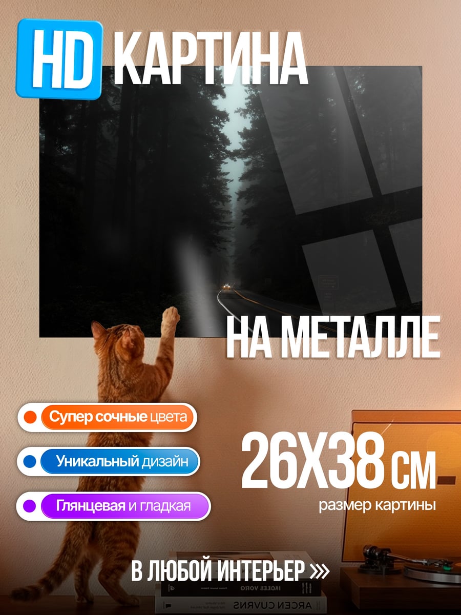 Картина на металле туманный лес дорога