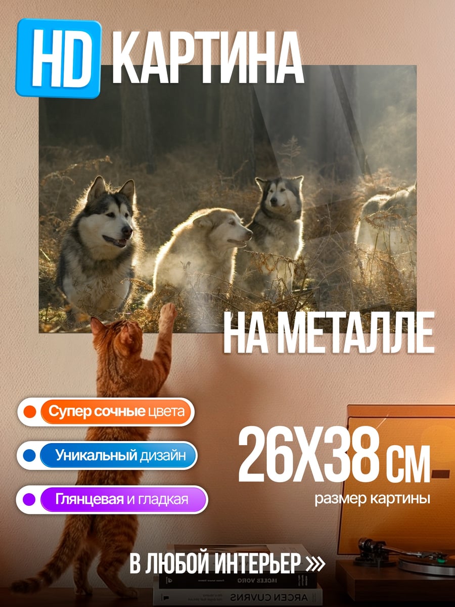 Картина на металле Стая волков в лесу