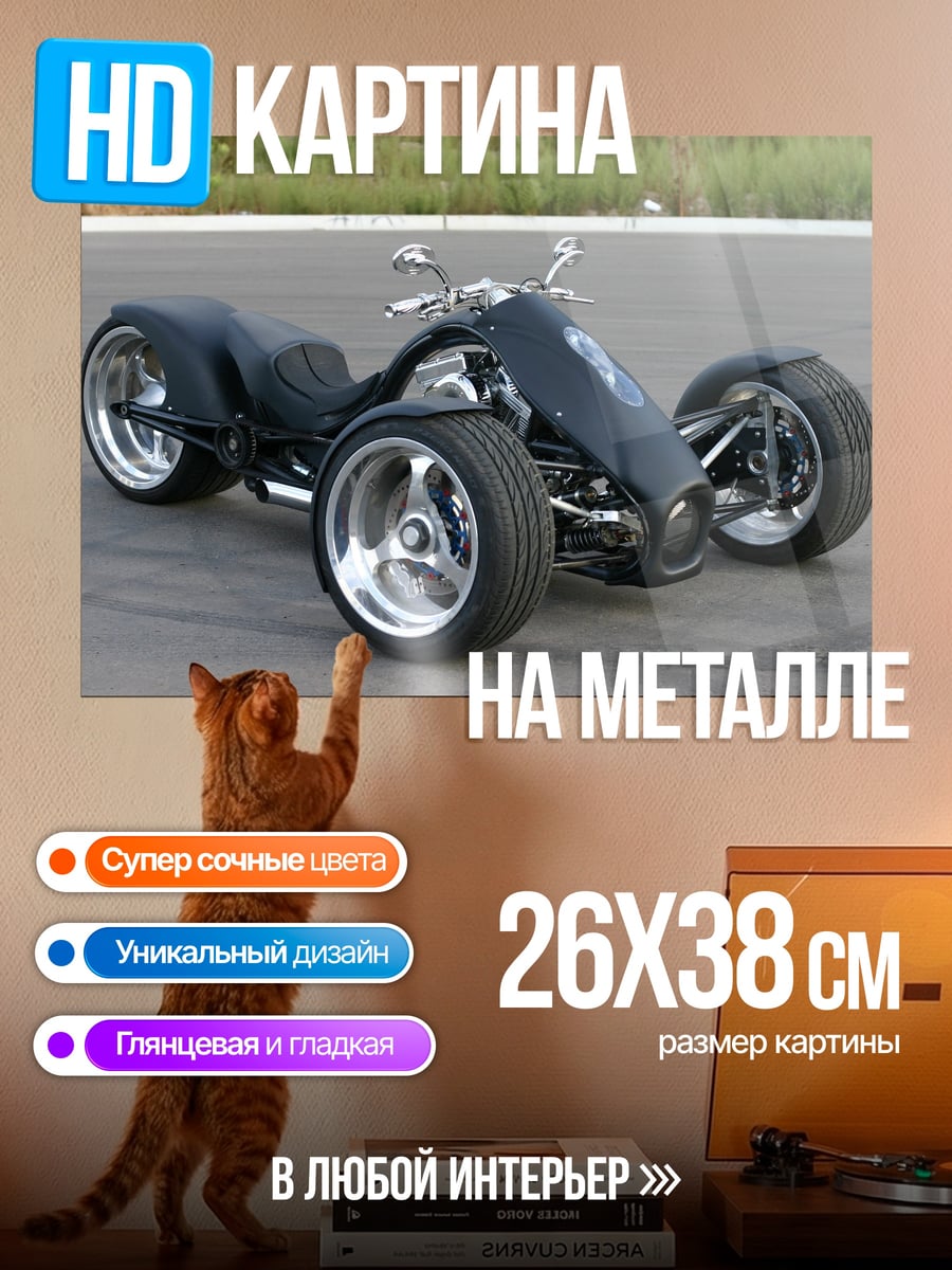 Картина на металле Черный трицикл