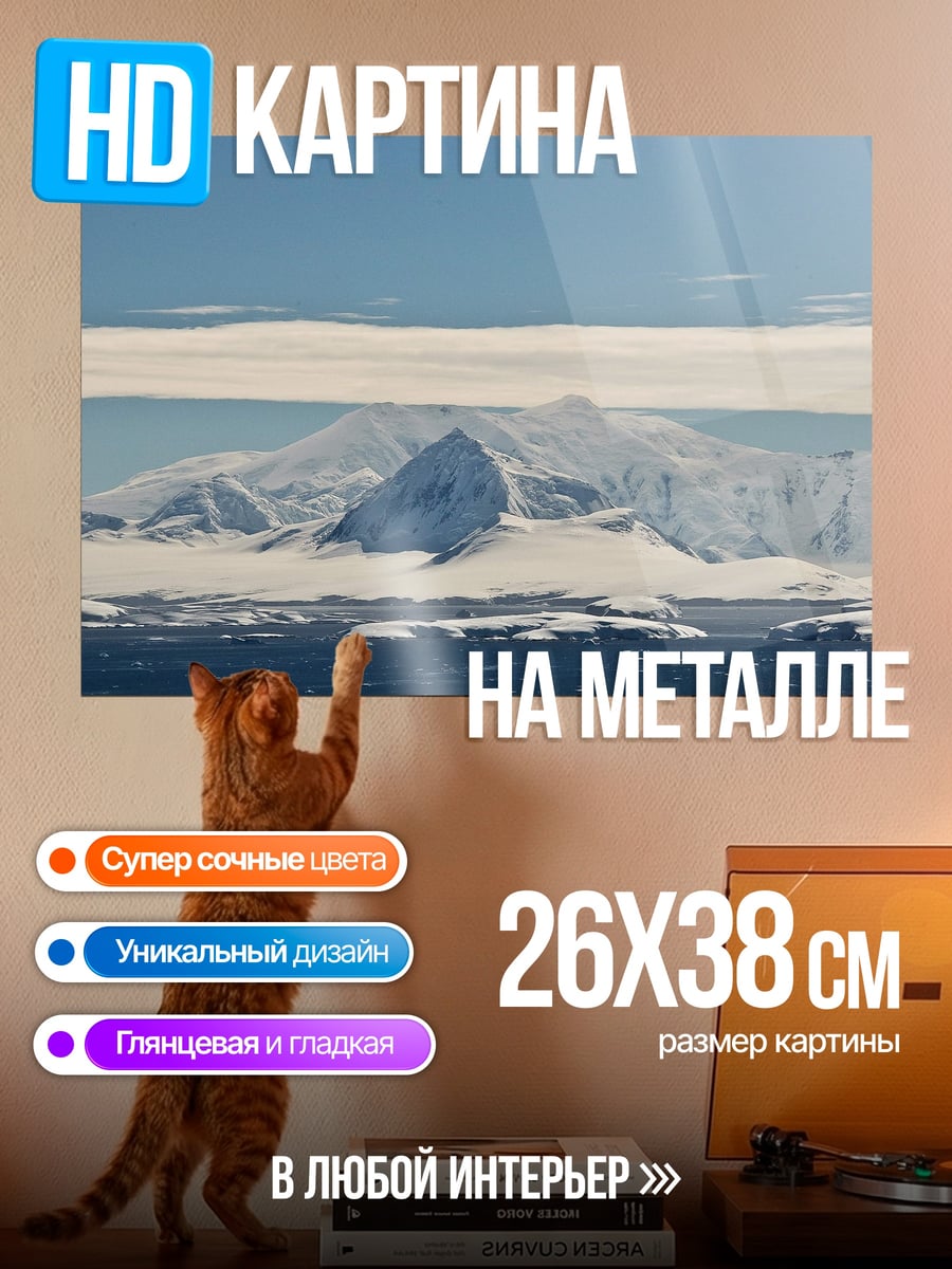 Картина на металле Антарктический пейзаж
