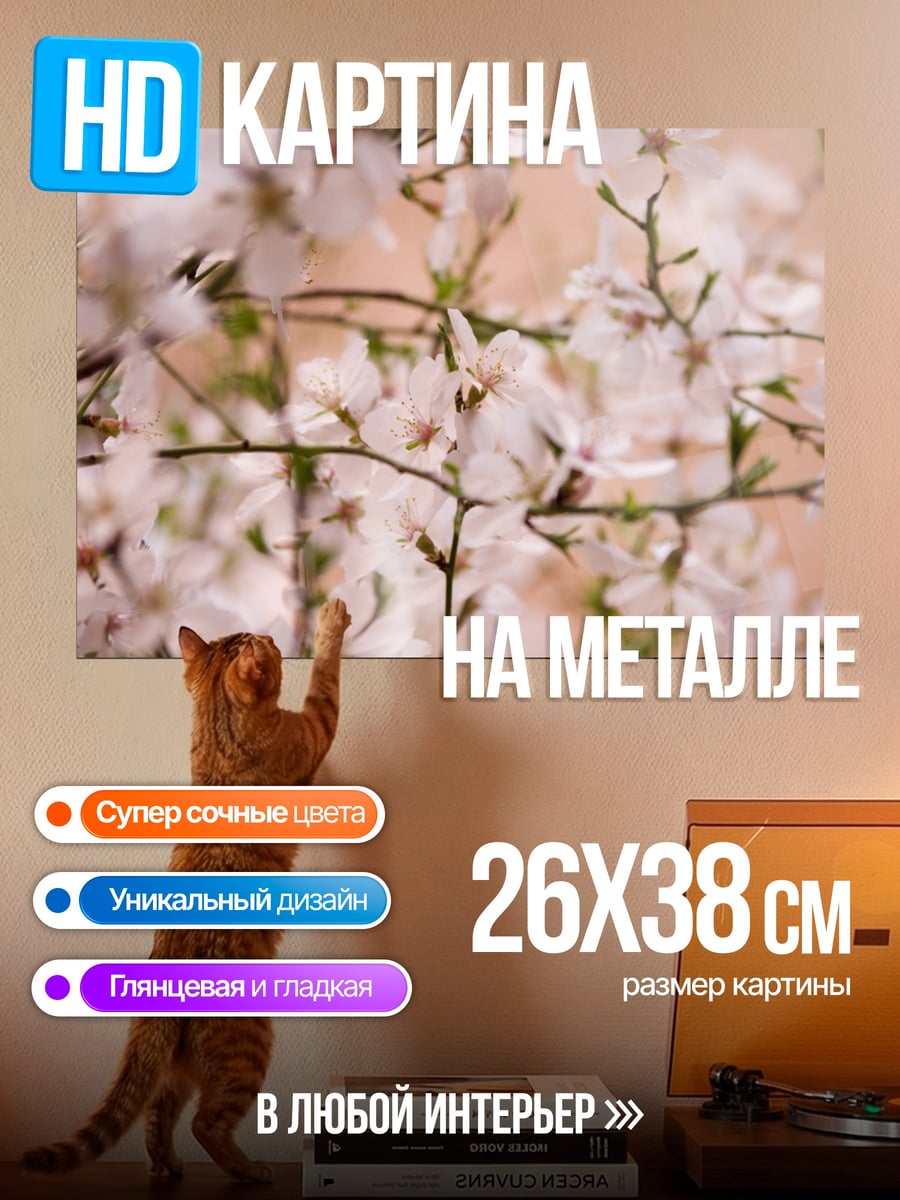 Картина на металле Цветущая сакура