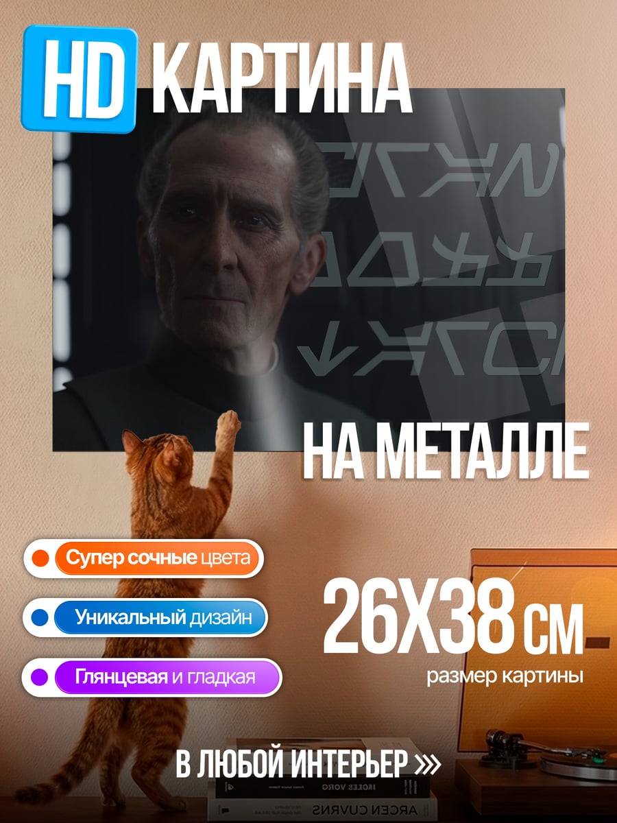 Картина на металле Имперский офицер Звездные войны